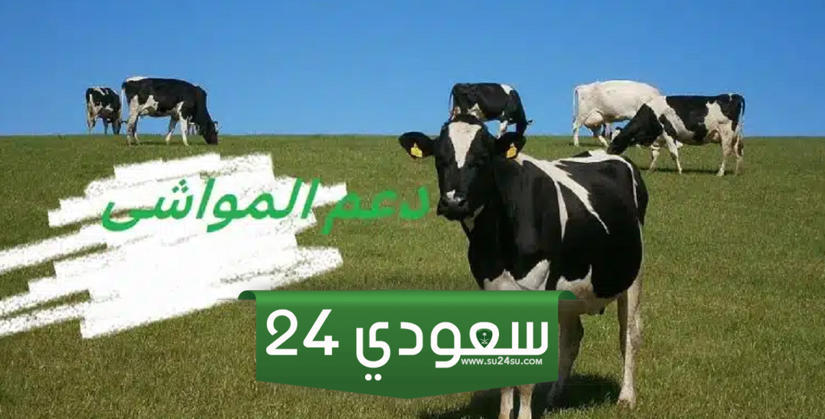 استعلام عن دعم مربي المواشي برقم السجل المدني او برقم الهوية ( بسهولة )