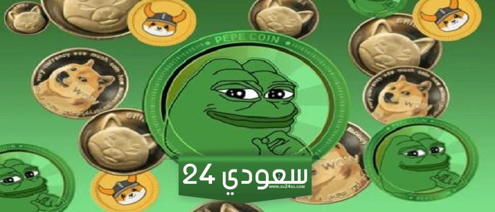 عملات الميم تستمر في الازدهار رغم ركود بيتكوين.. لماذا؟