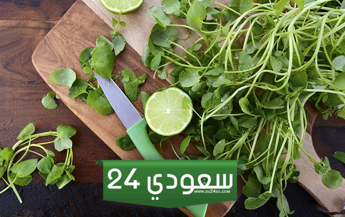 الجرجير للرجال والنساء والأطفال