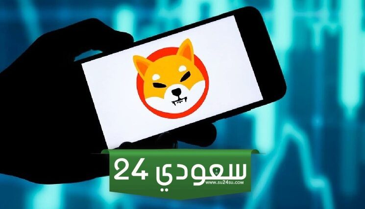 الحالة الصعودية والهبوطية لسعر شيبا إينو SHIB