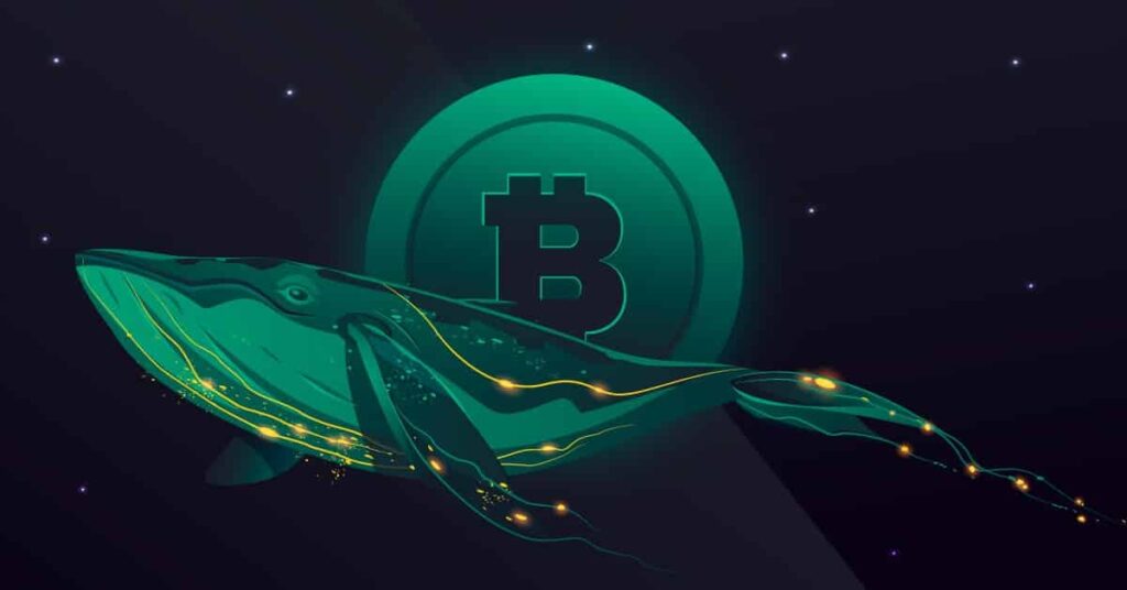 يتناقص المعروض من البيتكوين في البورصات مع زيادة الضغط الصعودي... فماذا يعني ذلك؟