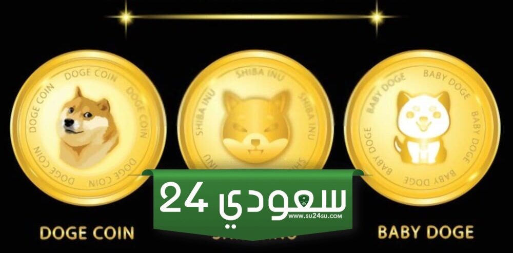 انخفاض دوجكوين وشيبا إينو مع انخفاض بيتكوين إلى 62 ألف دولار