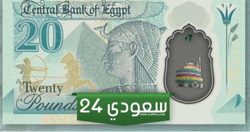 بعد البلاستيكية موعد طرح الـ 20 و50 جنيها الفضية