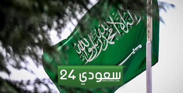 تجربتي مع الديوان الملكي السعودي للمساعدات 2024