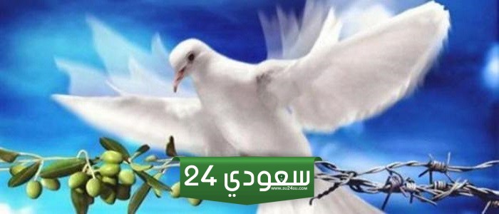تعريف السلام وانواعه