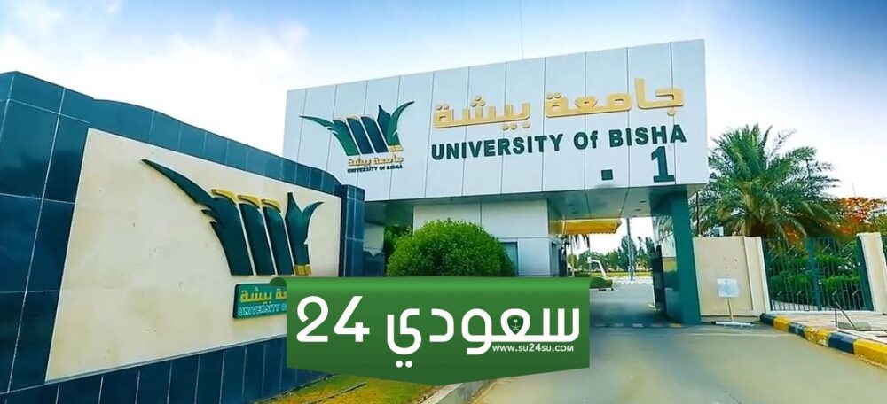 رابط تسجيل دخول بلاك بورد جامعة بيشه