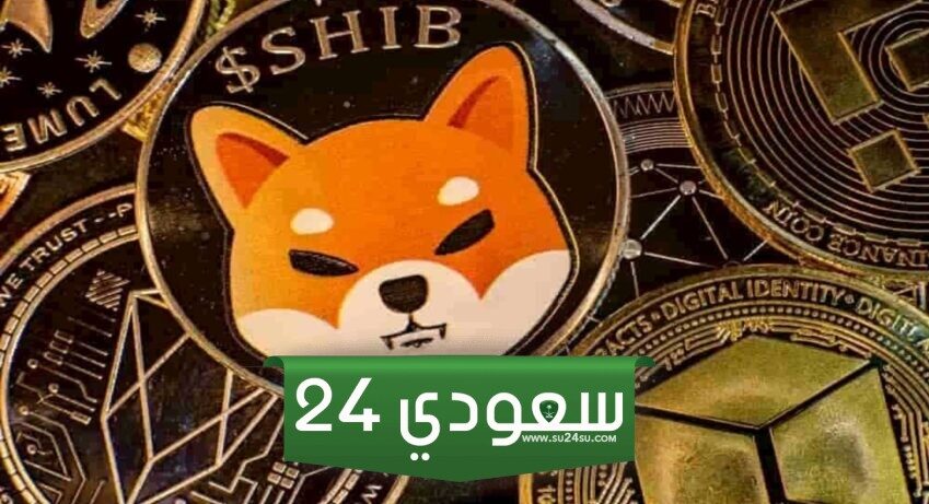 عودة قوية لنشاط حيتان شيبا إينو SHIB: ماذا يعني ذلك للسعر؟
