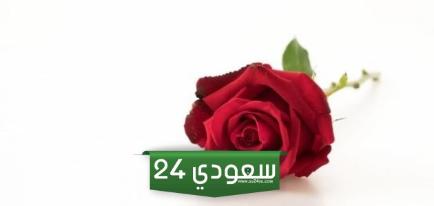 اجمل رسالة طويلة للحبيب