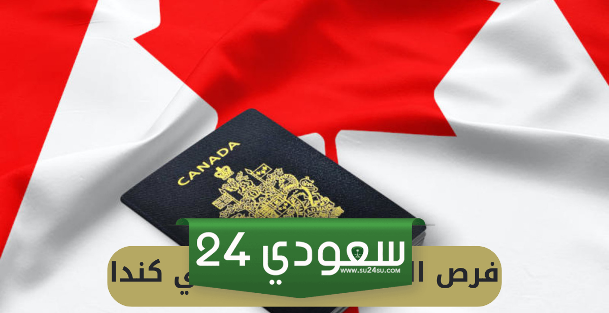 فرص عمل موسمية في كندا: بدون خبرة أو لغة!