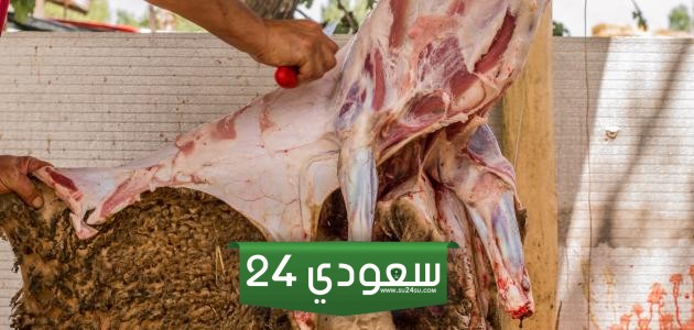 طريقة سلخ الذبيحه
