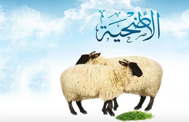 على من تجب الاضحية