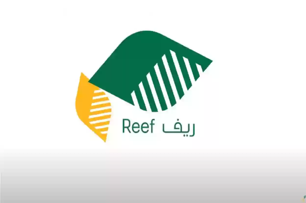 كيف اغير رقم الجوال المسجل في ريف وما شروط الدعم؟