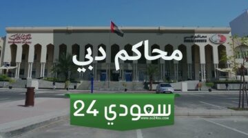 محاكم دبي Dubai Courts الاستفسار برقم القضية ورقم الهوية 2024