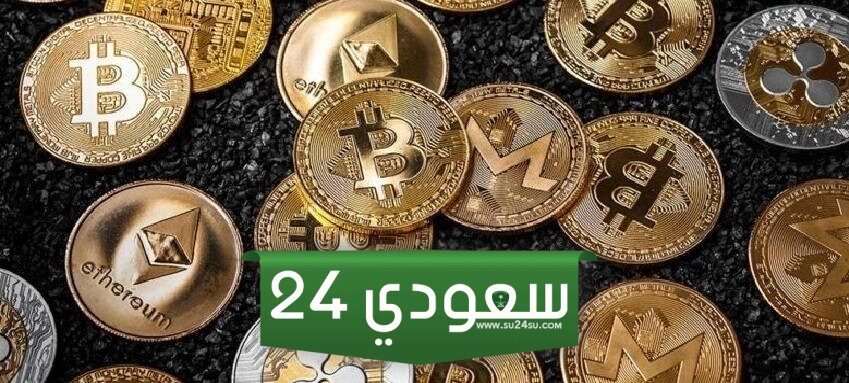 مليونير جديد من عملات الميم: مستثمر يحول 2625 دولار إلى 1.1 مليون دولار