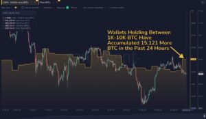 هل سيرتفع سعر البيتكوين والإيثريوم قريباً.. وهل ستشتري الحيتان كل قطرة؟