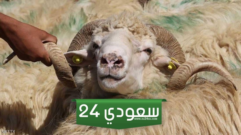 هل يجوز أن يضحي الابن عن أبيه المتوفى وهل يجزئ عنه