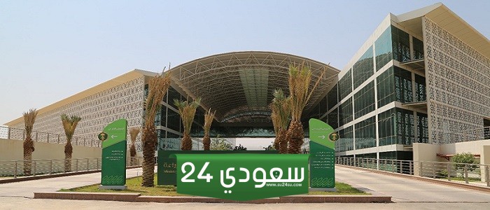 وزارة البيئة والمياه والزراعة توضح آليات تنفيذ قرار تحمل الدولة للرسوم الجمركية لمدخلات الإنتاج الزراعي