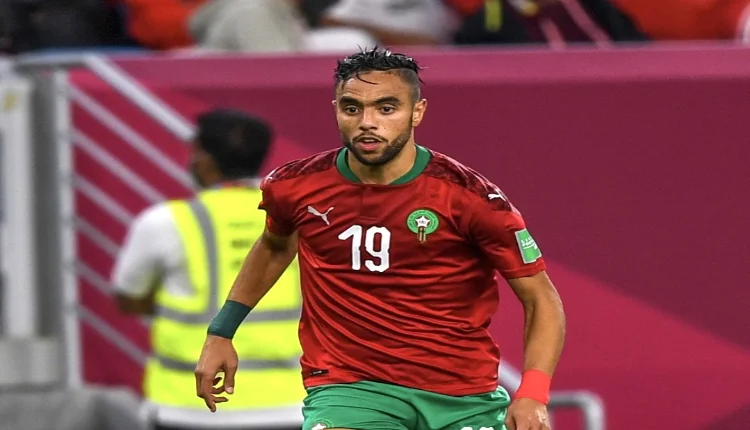 أحقية محمد الشيبي في التظلم بعد إيقافه