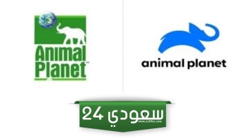 إليك تردد قناة انيمال بلانت الجديد 2024 Animal Planet على نايل سات