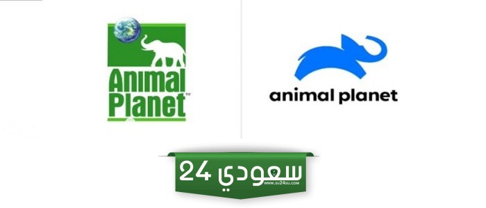 إليك تردد قناة انيمال بلانت الجديد 2024 Animal Planet على نايل سات
