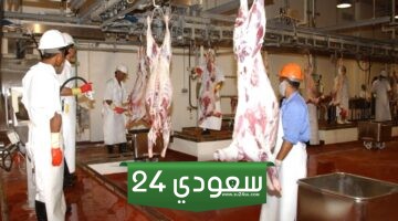 سعر الذبح للاضحية في المسلخ 2024 الرياض