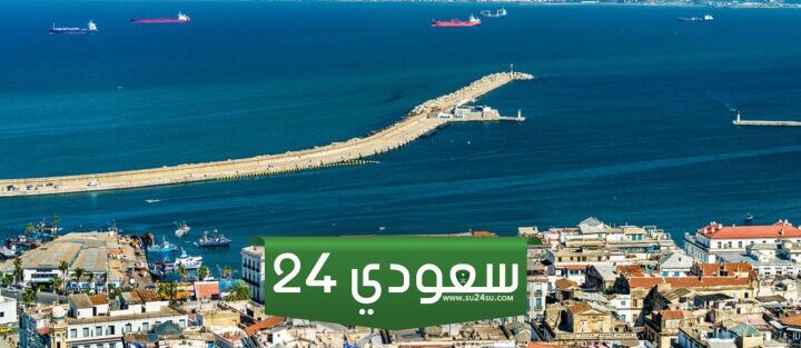 أفضل مواقع البحث عن عمل في الجزائر: العثور على وظيفة أصبح سهلا