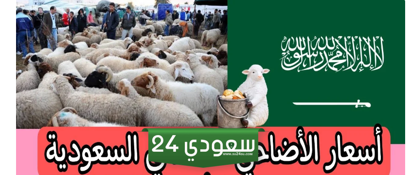 أسعار الأضاحي في السعودية