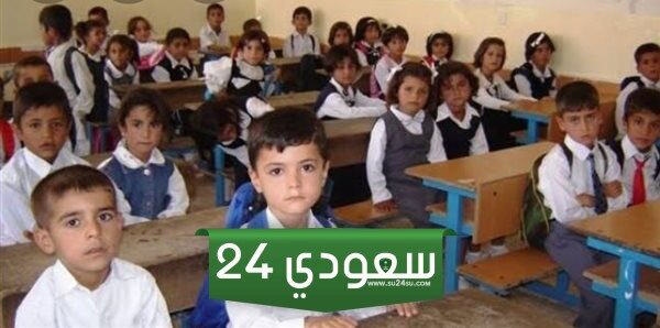 التقديم لرياض الأطفال وأولى ابتدائى لعام 2025 بالقاهرة