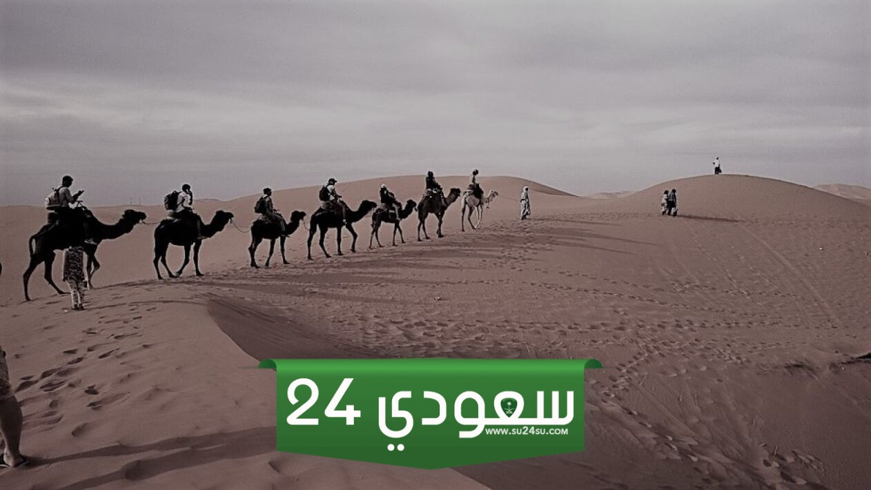 المعيدي وش يرجعون؟! ديرة المعيدي ونسبهم