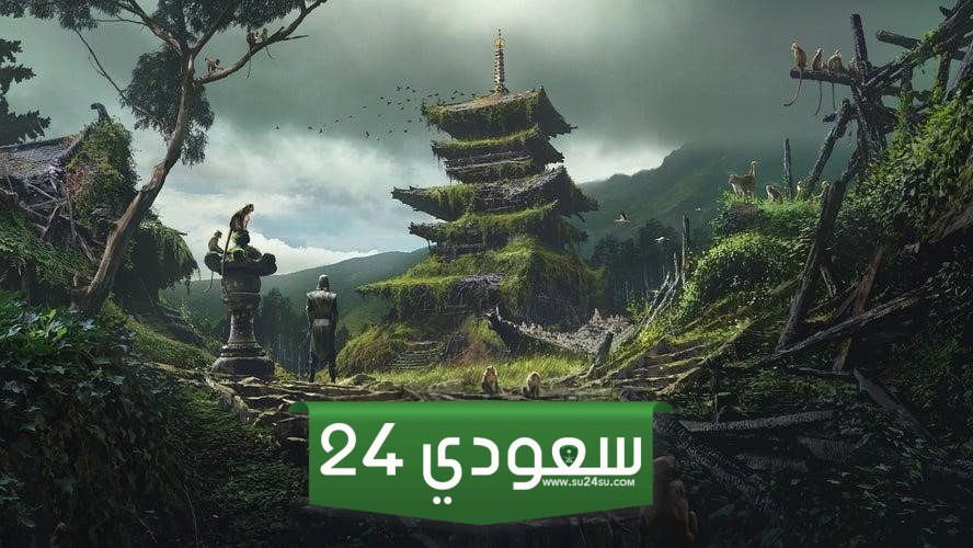 انطباع مبدئي Assassin's Creed Shadows