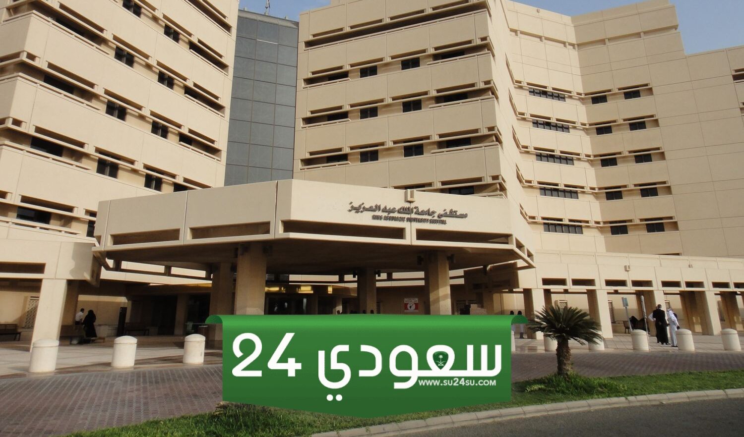 تخصصات الدبلوم في جامعة الملك عبدالعزيز 1446