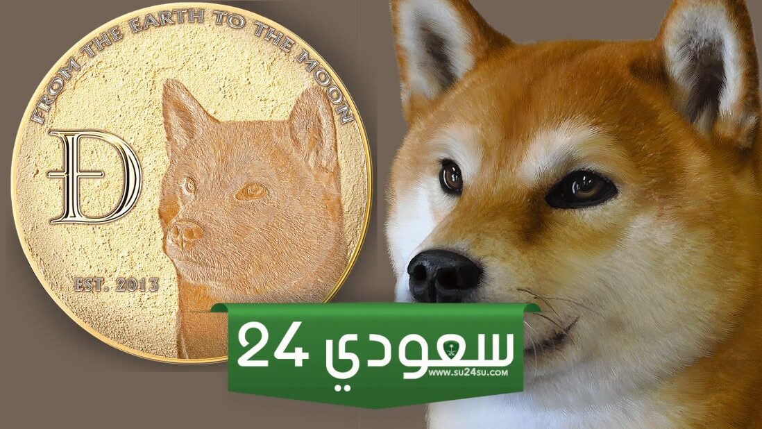 مستثمرون كبار يدخلون بقوة إلى سوق عملات الميم: دوجكوين في الصدارة