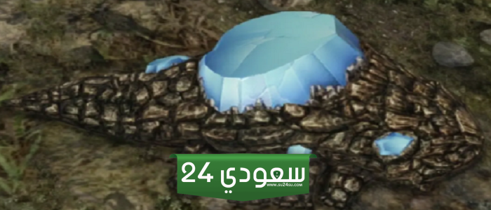10 شخصيات غير قابلة للعب نادرة وستكافئك على إيجادها - الجزء الأول