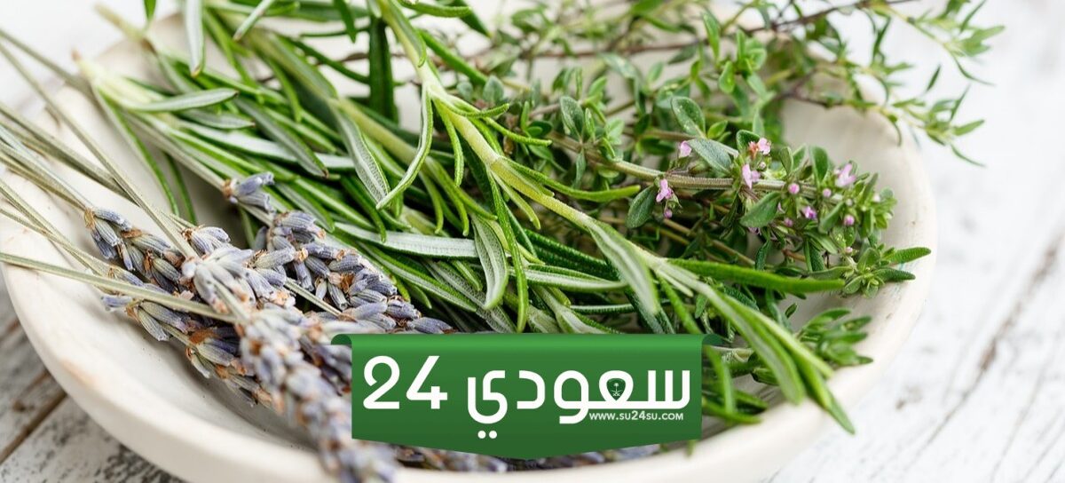علاج التهاب المسالك البولية في المنزل للنساء بوصفات مُجربة