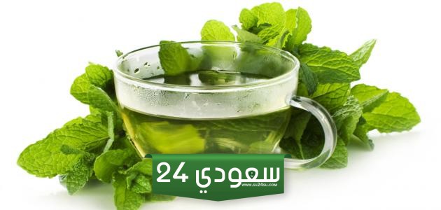 فوائد النعناع المجفف للقولون