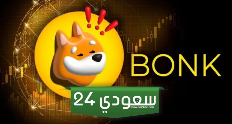 مستثمرو عملات الميم يفقدون الأمل في BONK