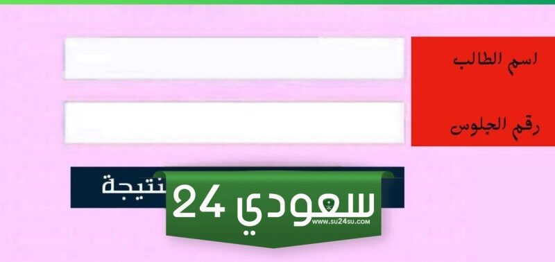 نتيجة الشهادة الإعدادية الدقهلية 2024