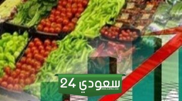 ضبط الأسعار وإصلاح منظومة الدعم.. أبرز ملفات وزير التموين الجديد