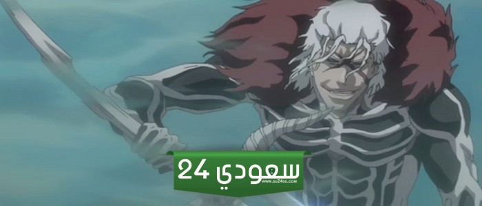 شرح مختصر لقصة أنمي Bleach - الجزء الرابع