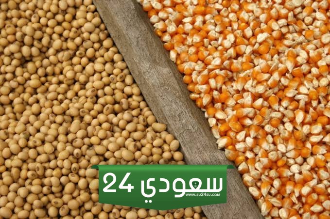 تراجع أسعار الذرة وفول الصويا إلى أدنى مستوياتها