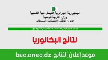 “bac onec dz” .. وزير التربية يحدد موعد نتائج البكالوريا 2024 في الجزائر .. ونسب النجاح متباينة