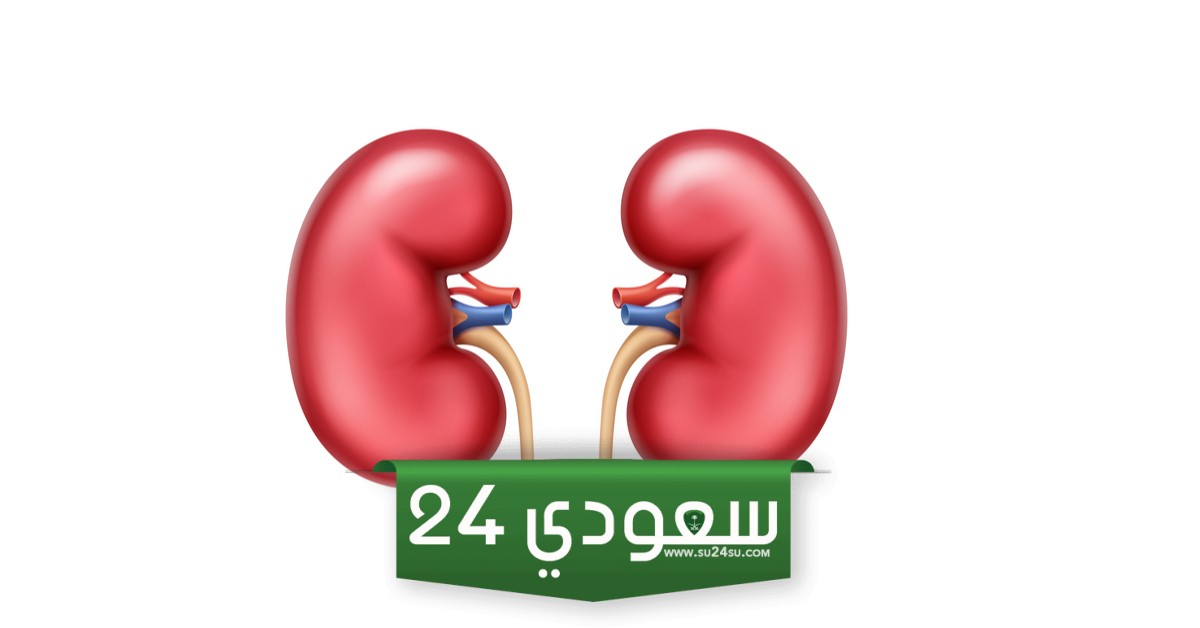 كم تكلفة الكلية في السعودية؟