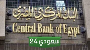 البنك المركزى المصري: ارتفاع الاحتياطى الأجنبى لـ46.384 مليار دولار نهاية يونيو