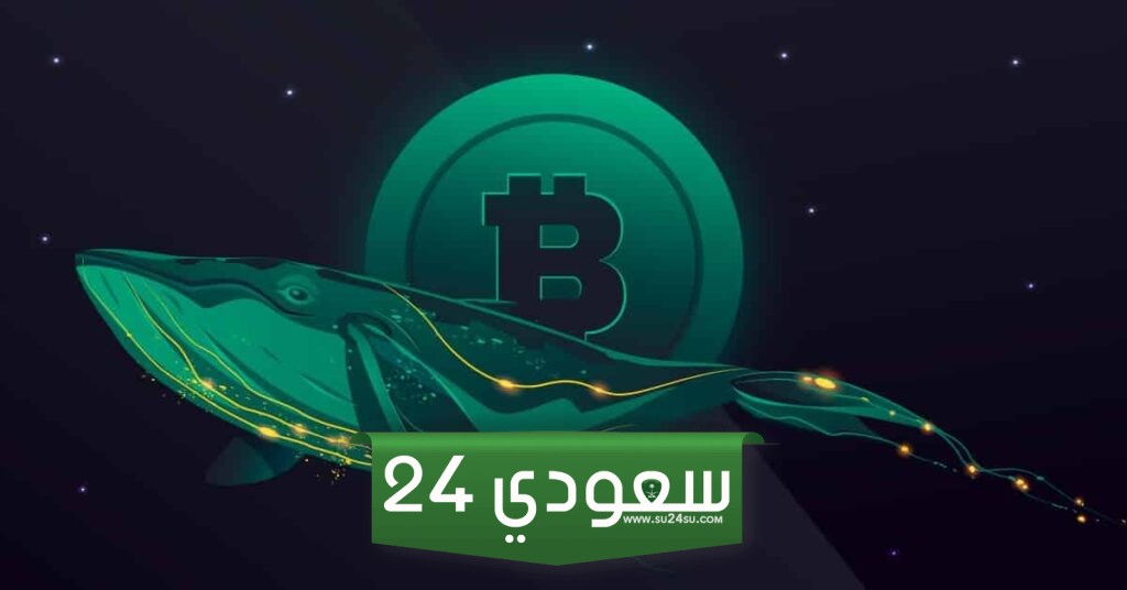 شراء من الانخفاض من الصغار..وحوت يبيع 400 مليون من البيتكوين