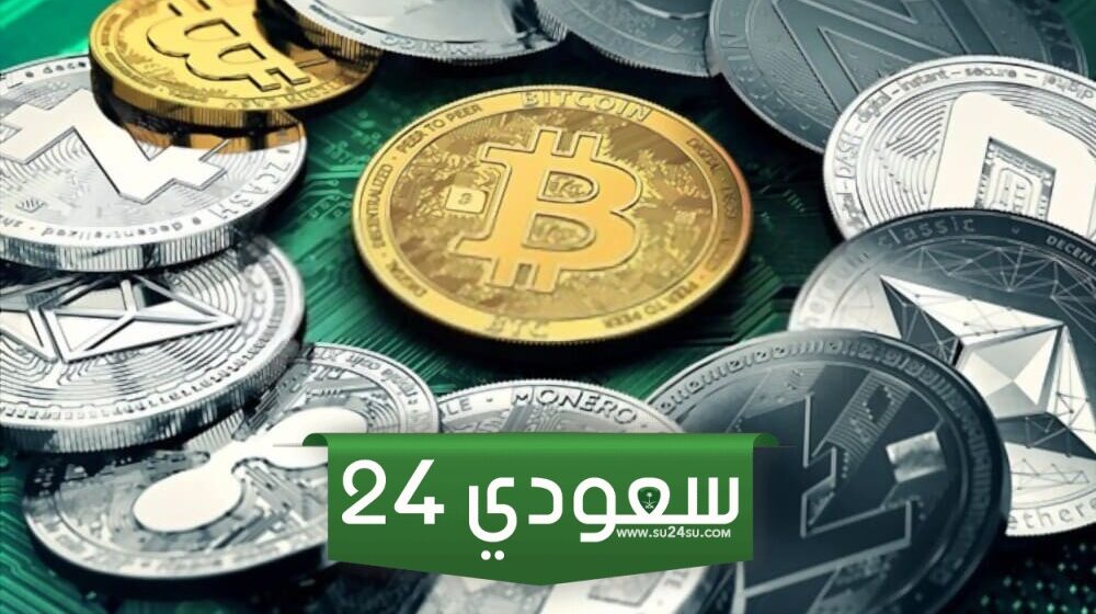 ما هي عملة FRIDDY القادمة.. وما هي حالات استخداماتها؟