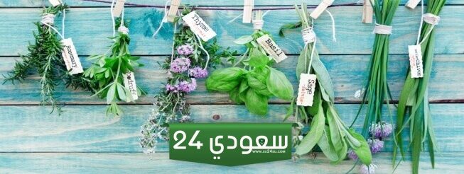 علاج البروستاتا بالاعشاب بأسهل طريقة مع الخطوات