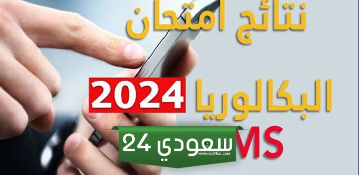 رابط نتائج البكالوريا 2024 في المغرب men.gov.ma