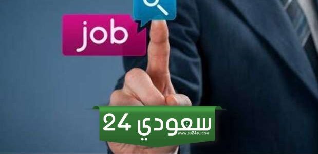 وظائف بـ 65 ألف ريال سعودي .. الحكومة توضح الوظائف المتاحة