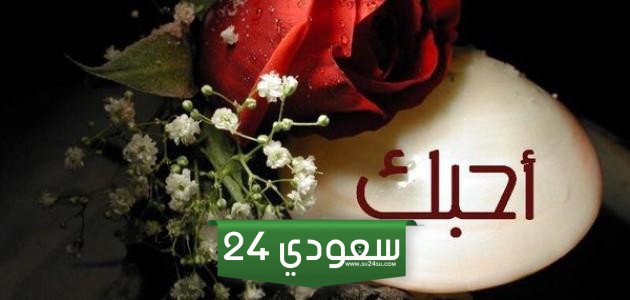كلمات عن الحب الحقيقي الصادق أفضل كلام يزيد الحب 2024