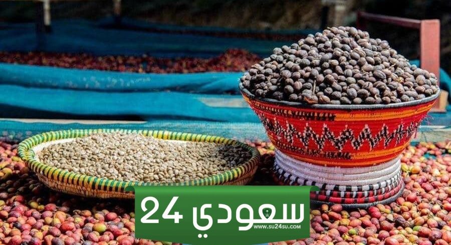 ما هو شعار مهرجان البن الخولاني 1446